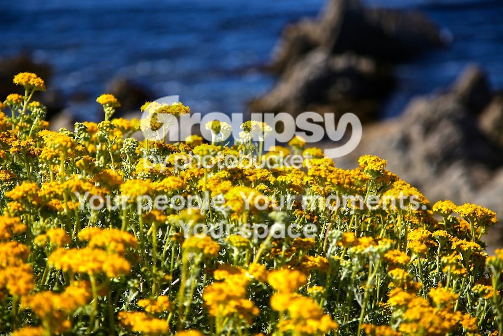 692A0082_zps53d4e1a9.jpg~original