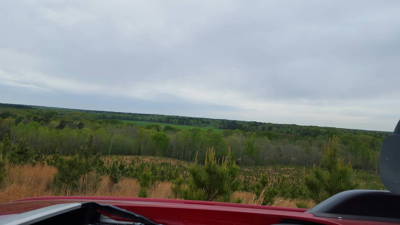 c0adf6514f32ab5e8bc6b87fa1628083.jpg
