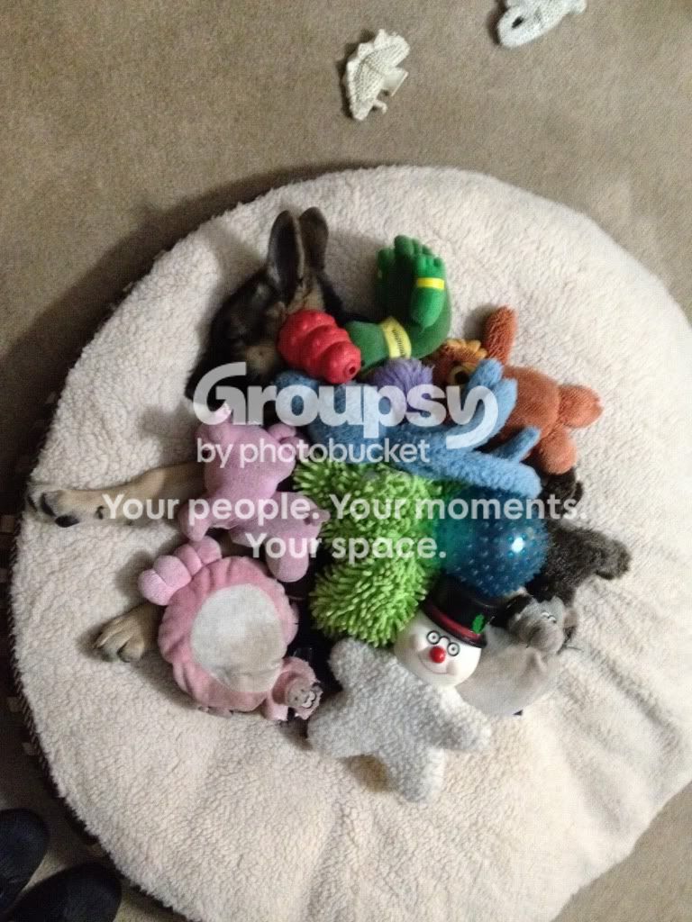 1327352806.jpg~original