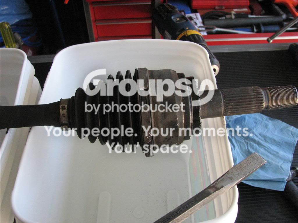 IMG_9290Medium.jpg~original