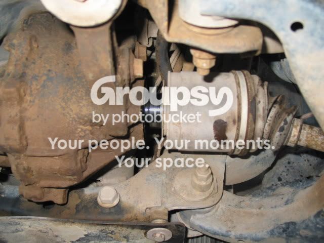 IMG_9365.jpg~original