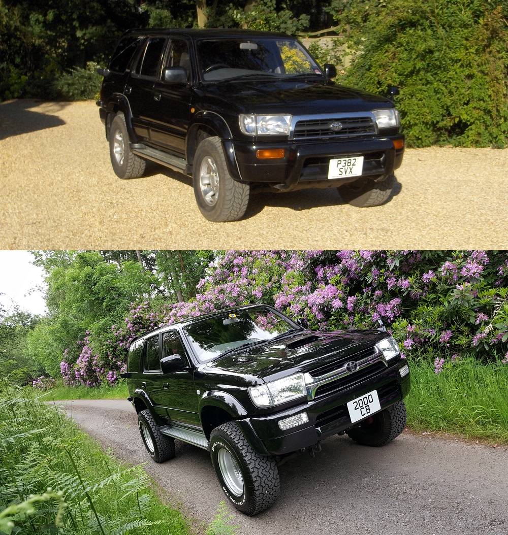 Evolution.JPG
