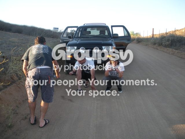 HERPPICS2012087.jpg~original