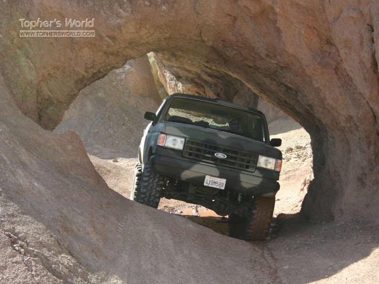 calico_020.jpg