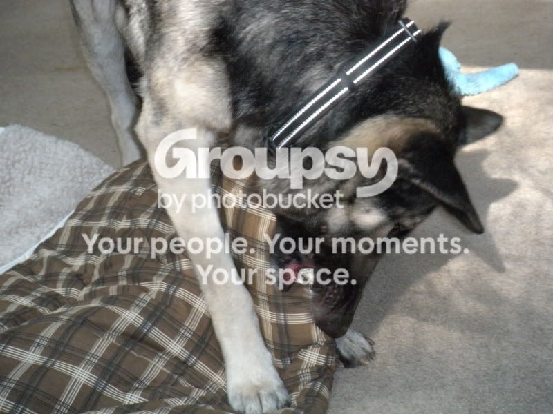 005-8.jpg~original