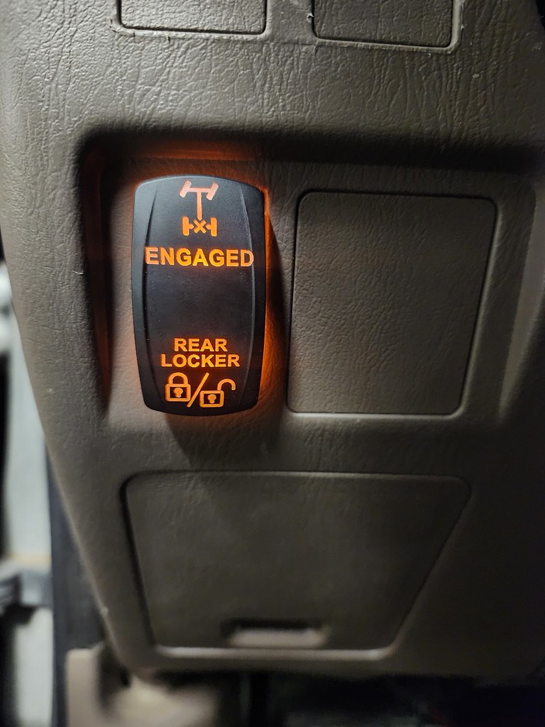 55406017252_cea4f6aaa9_b.jpg
