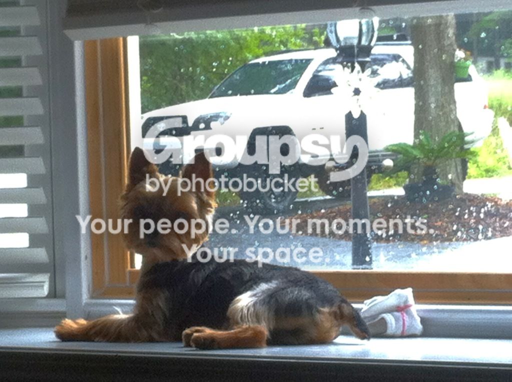 murph.jpg~original