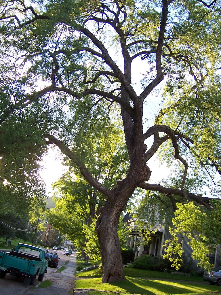 4307383506_da8182c9d8_b.jpg