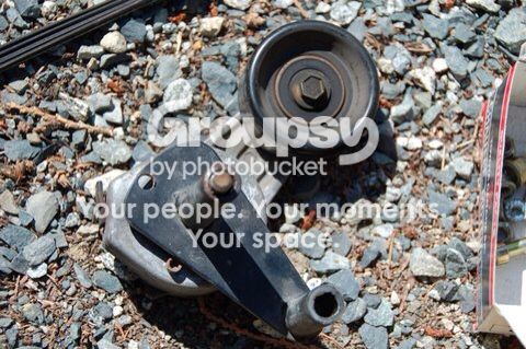 87800560.jpg~original