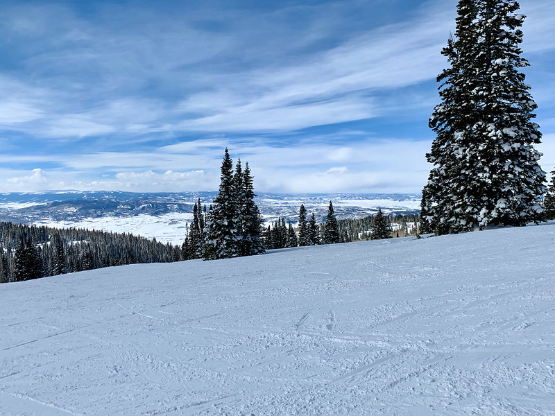 47170888062_47d7498223_c.jpg