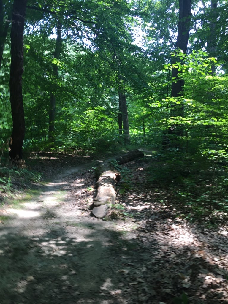 ca95005029d00111b3d94c485097edd4.jpg