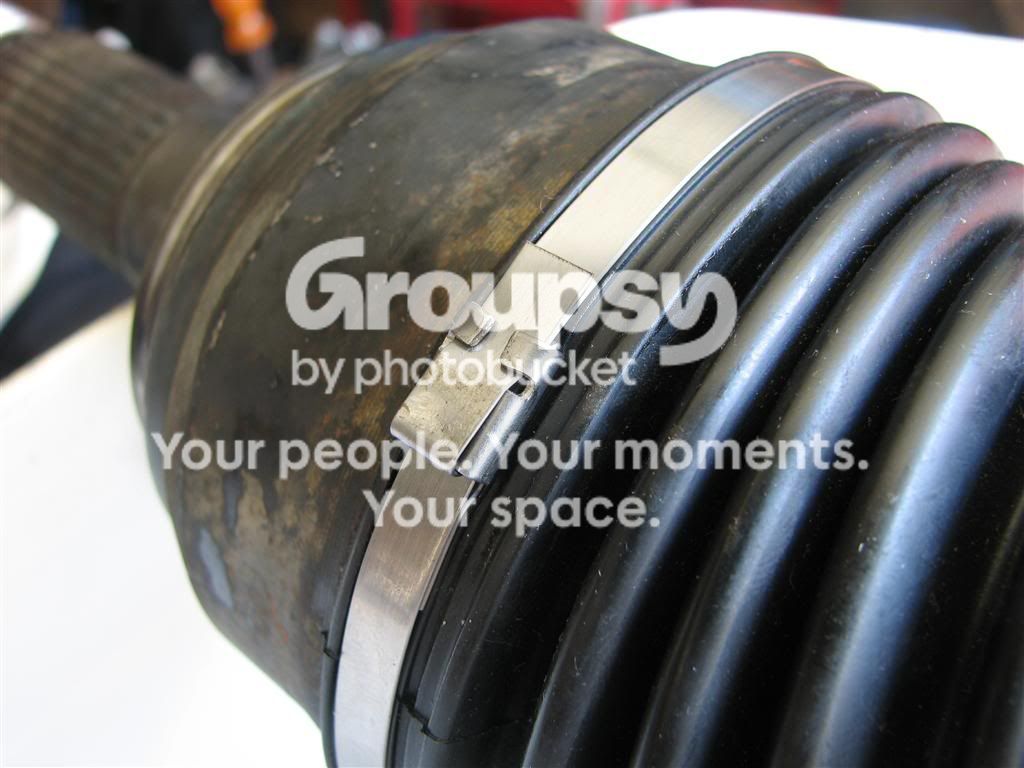 IMG_9303Medium.jpg~original