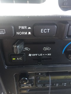 36083573212_25668ab716_n.jpg