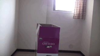tumblr_lek6qrWhKW1qakx30.gif