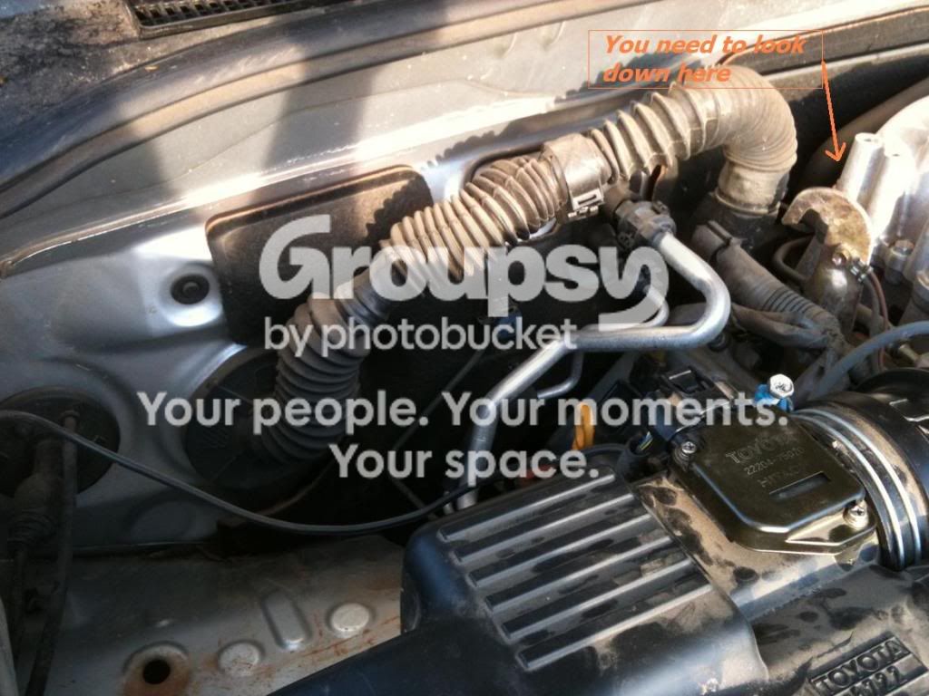 v8.jpg~original