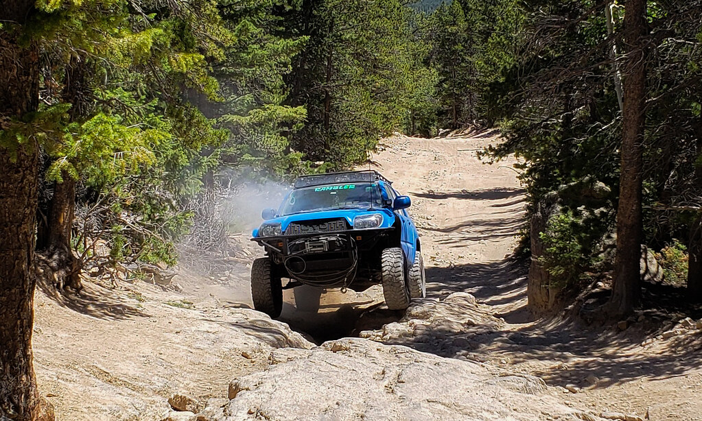 50079022947_56411f2911_b.jpg