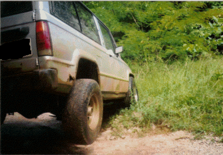 mudbug3.gif~original