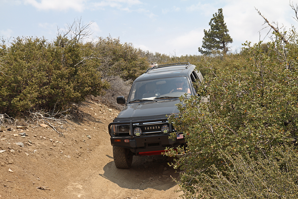 bbf_6-29-13_62.jpg