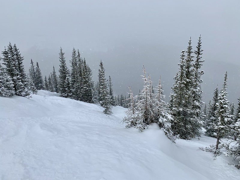 46402477572_8b54df01c2_c.jpg
