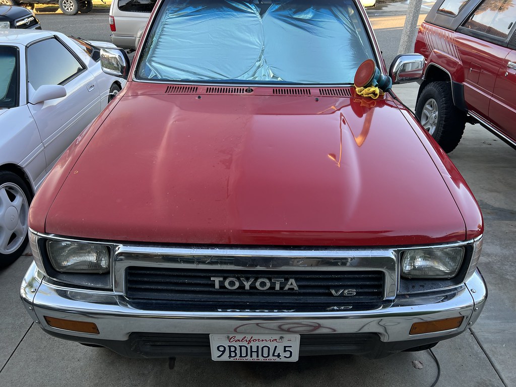 52197341596_deda717a6d_b.jpg
