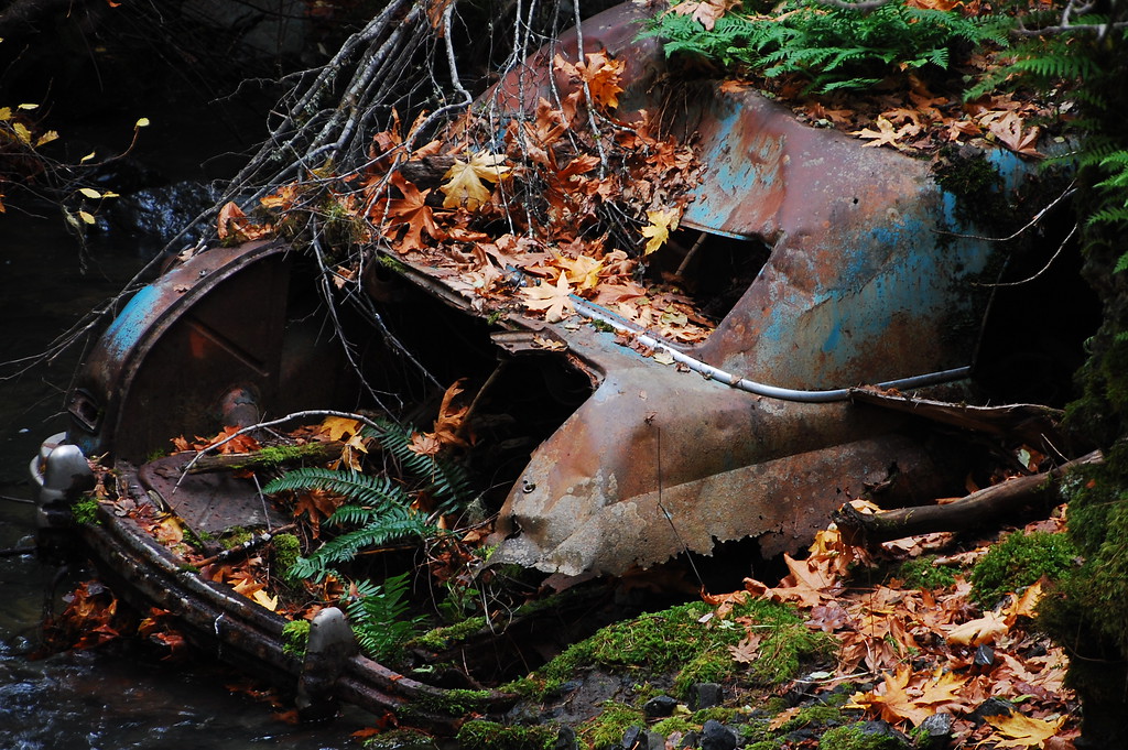DSC_0729-XL.jpg