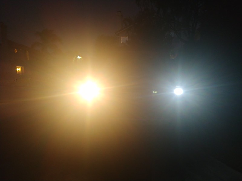 49840086586_078408afaf_c.jpg