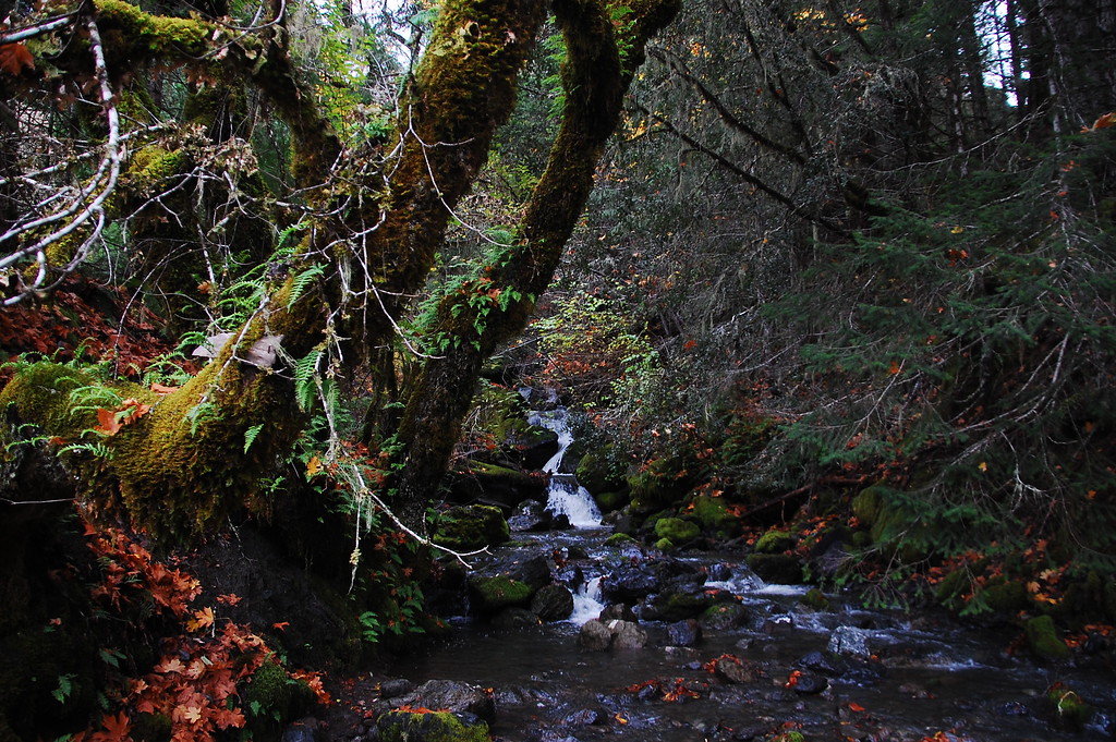 DSC_0712-XL.jpg