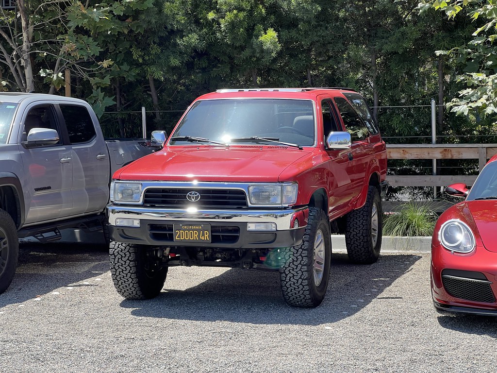 55338562035_22097c23d6_b.jpg