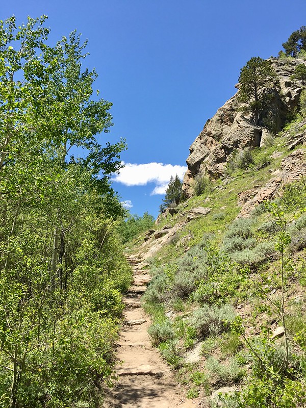43194888502_1de5e43645_c.jpg