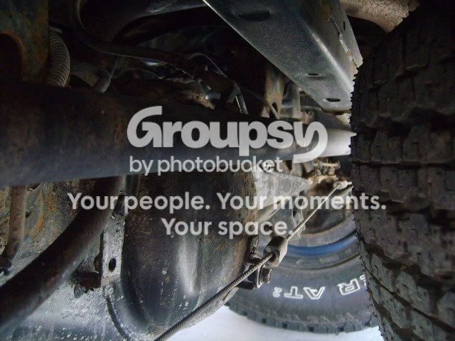 mypics014.jpg~original