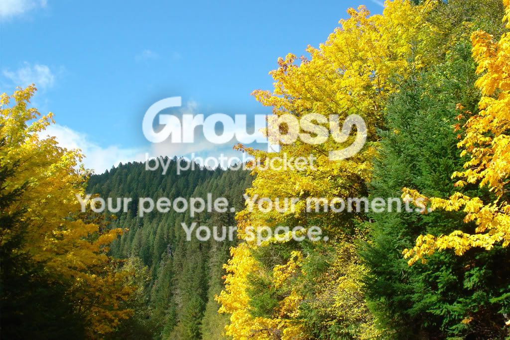 scenery2.jpg~original