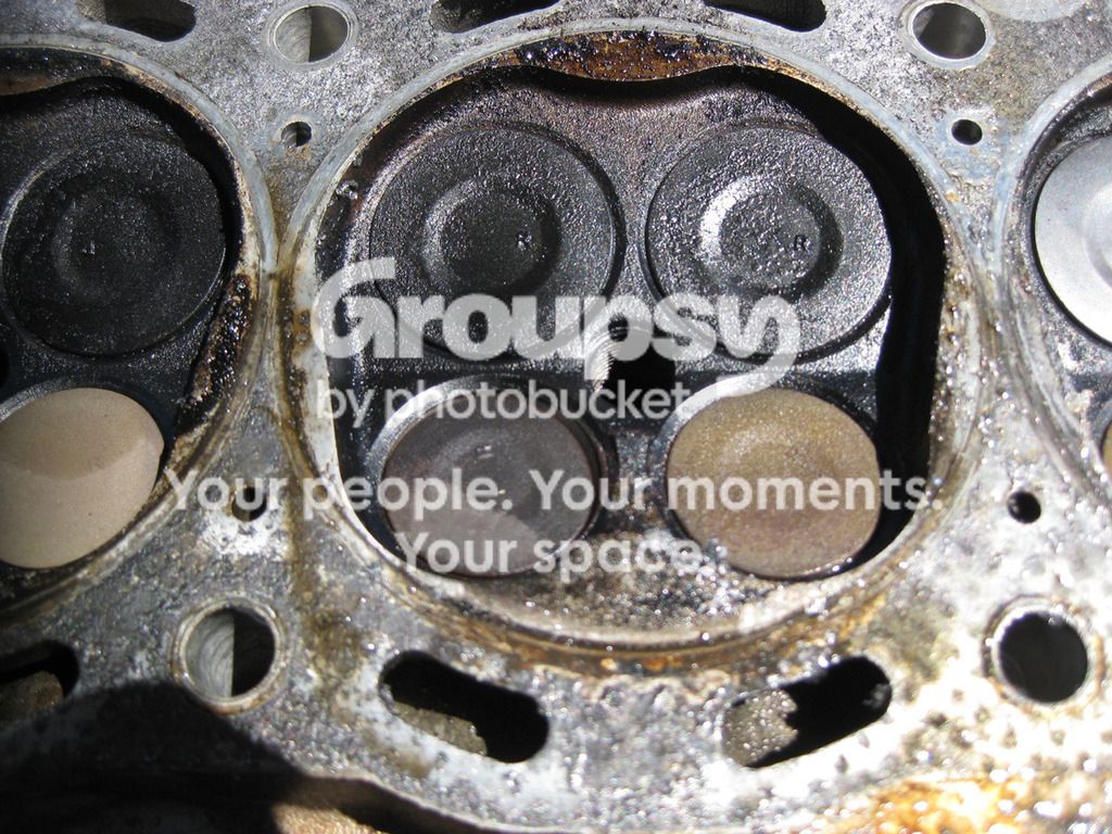 IMG_0429_zpsxdbhkewb.jpg~original