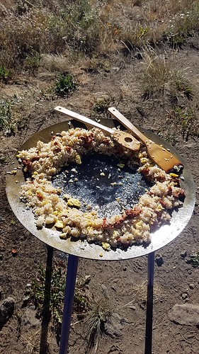 36319669375_6c525600bc.jpg