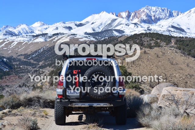 IMG_7468_zpsite1wcge.jpg~original