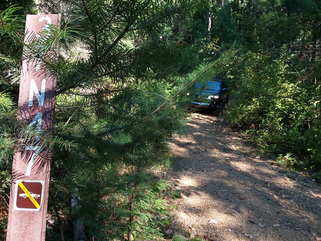 20200820_092438-XL.jpg