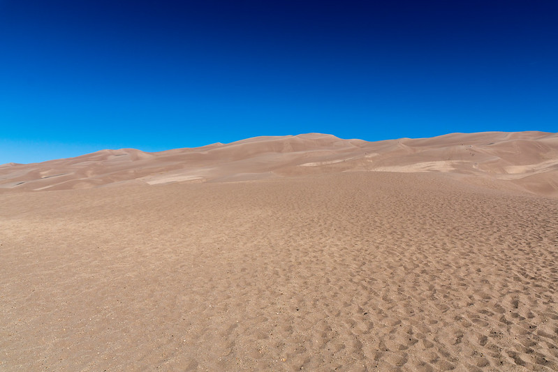 42648873745_2714eb0e5e_c.jpg