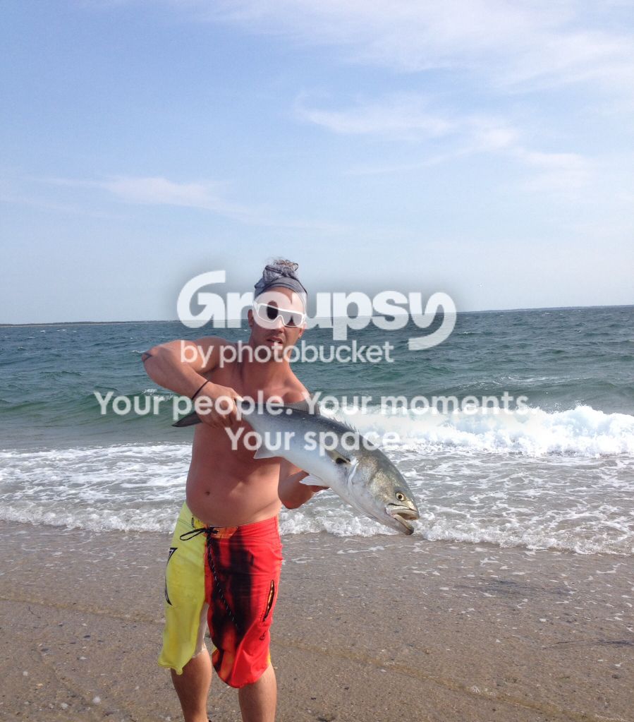 e8cd68e431608beb2bcc7b8bba182497.jpg~original