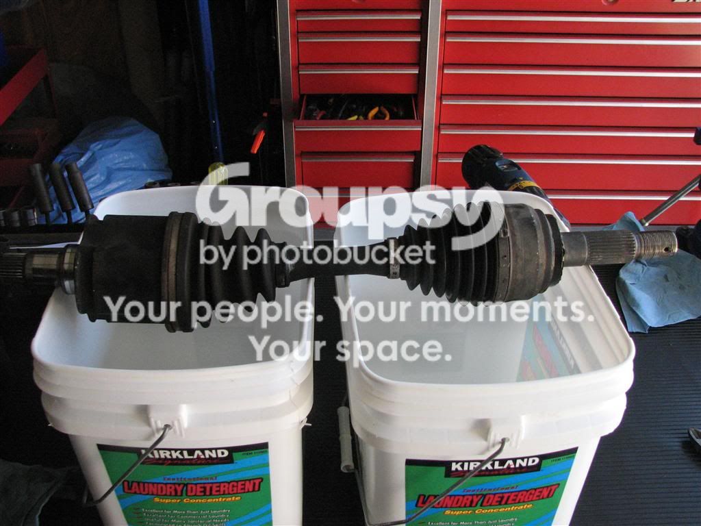 IMG_9288Medium.jpg~original