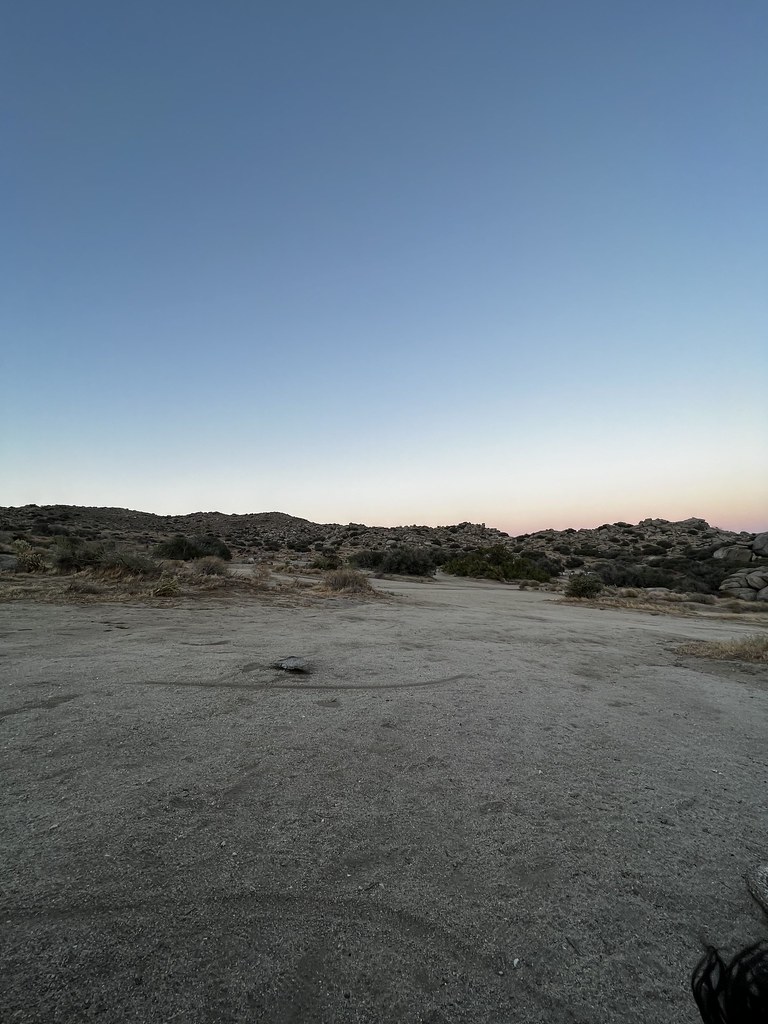 52123532685_e6038d6844_b.jpg