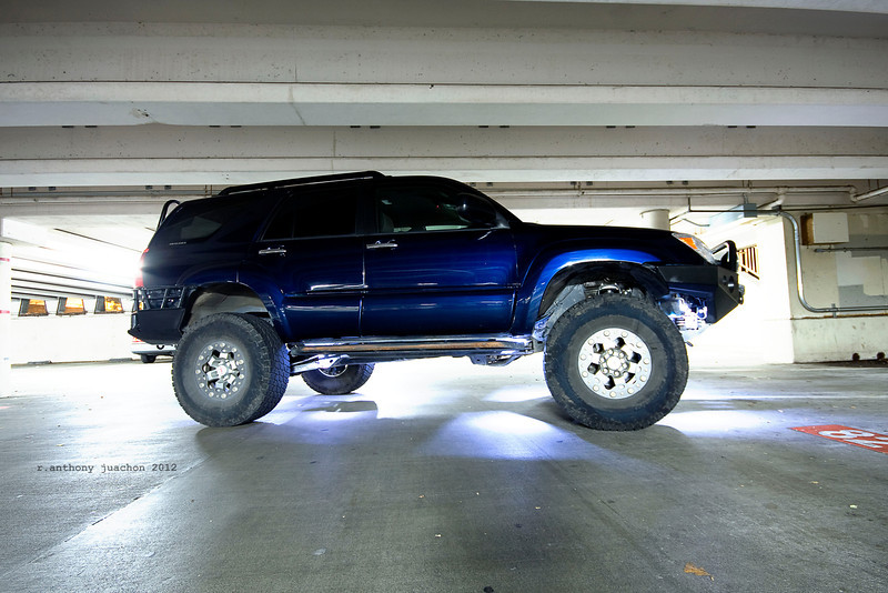IMG2339-L.jpg