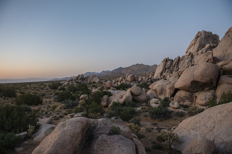 p3026217347-4.jpg