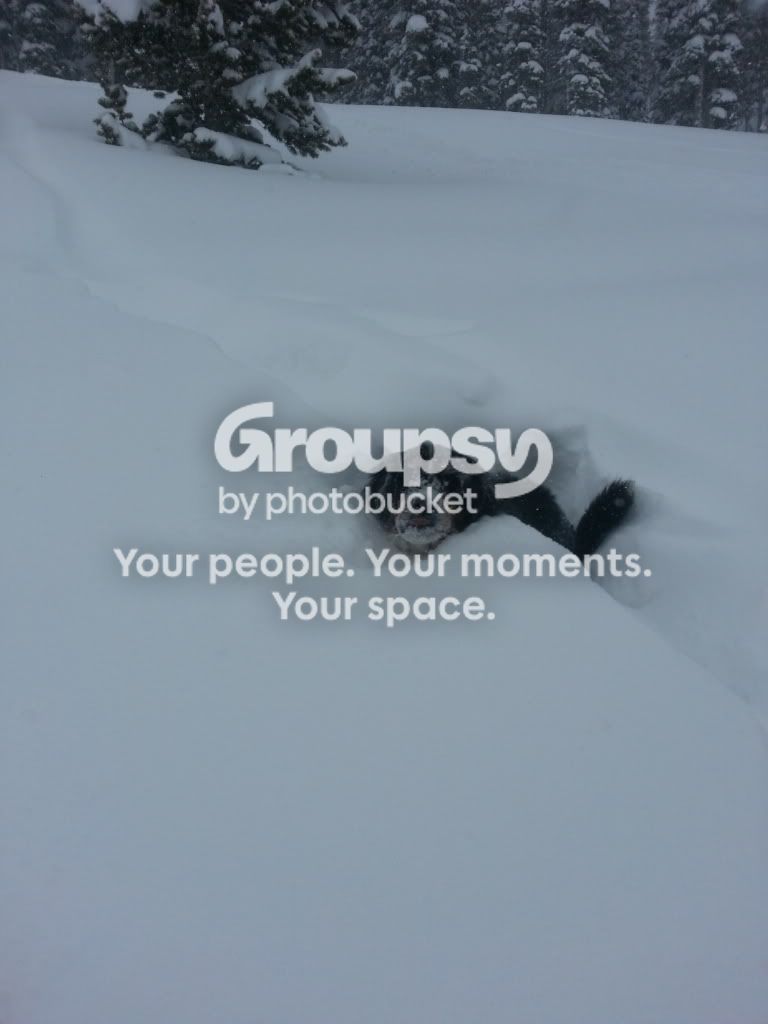 20130224_154748_zps288c0e09.jpg~original