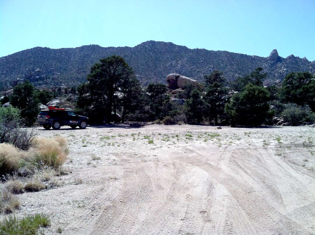 img33271.jpg