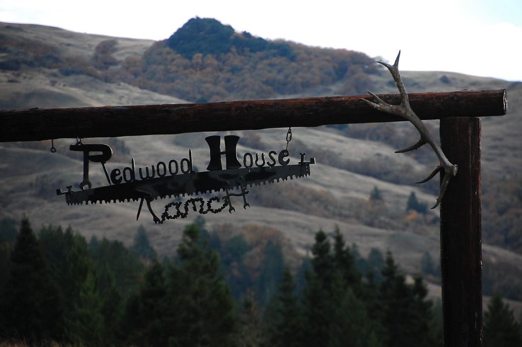 DSC_0595-XL.jpg