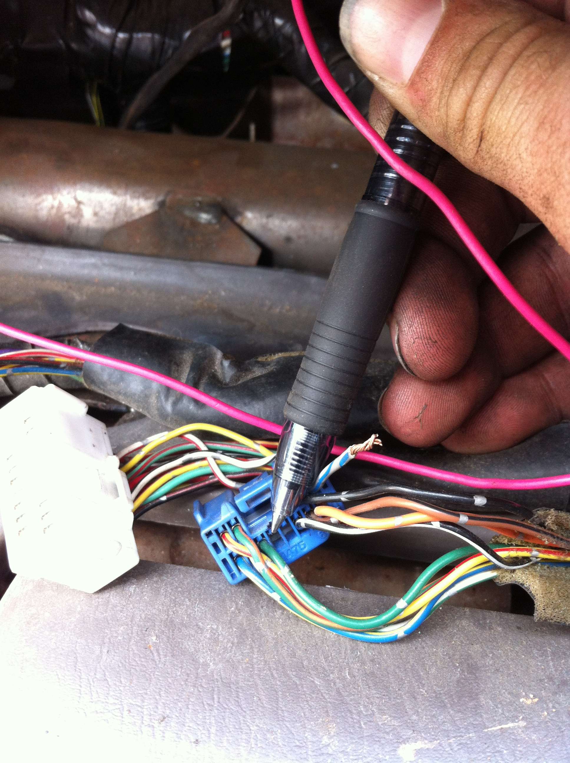 img1707lr.jpg