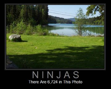 ninjas.jpg
