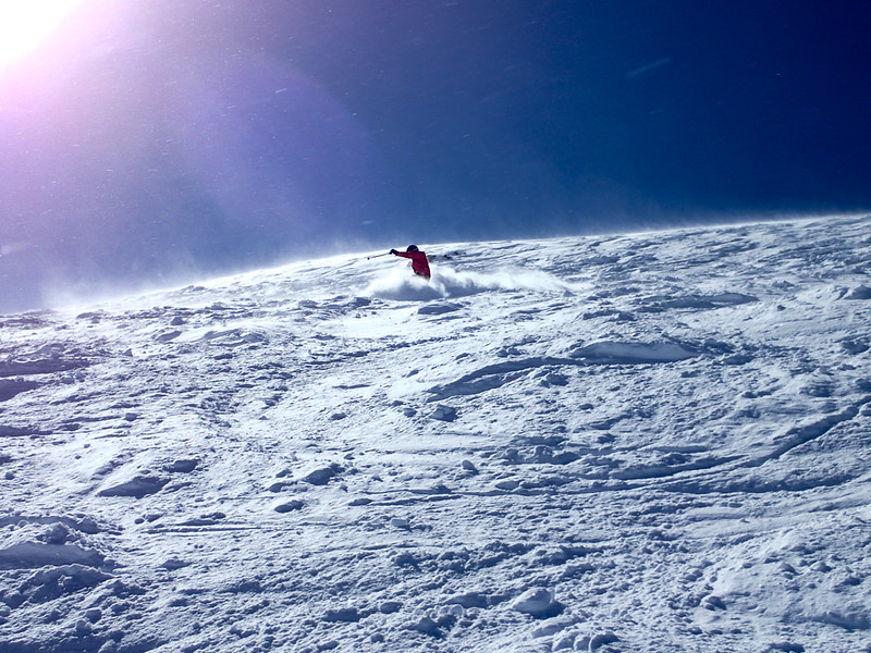 46308521995_3138349369_c.jpg