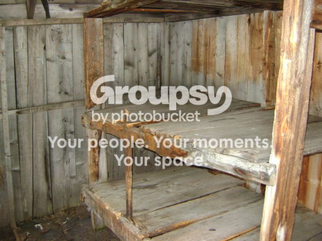 DSC01184_zpsknd3hxdo.jpg~original