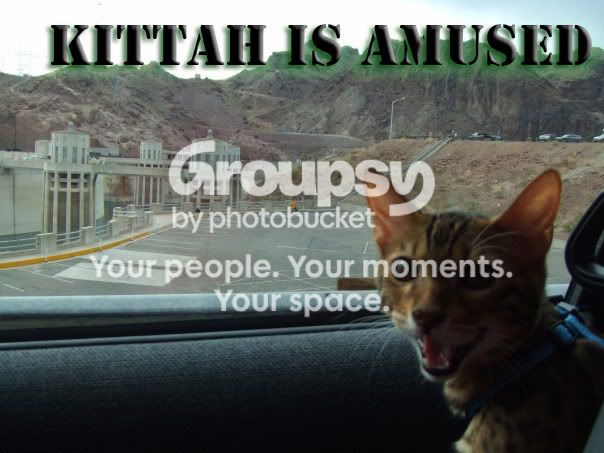 kittah_3.jpg~original