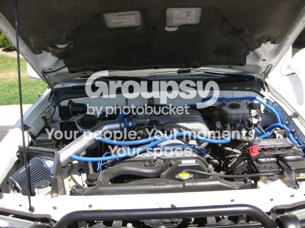 IMG_0455.jpg~original